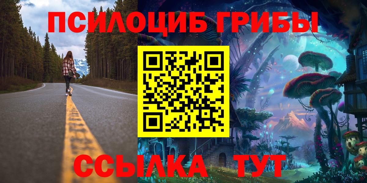 Галлюциногенные грибы Psilocybine cubensis Углич